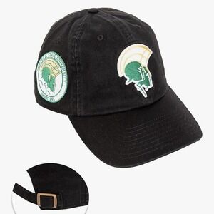 Desert Cactus Norfolk State University Baseball Hat Adjustable Onesize